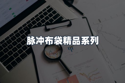 脉冲布袋精品系列