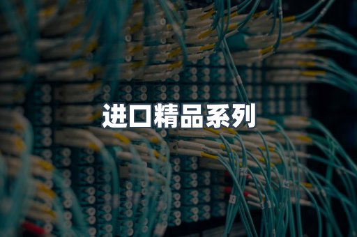 进口精品系列